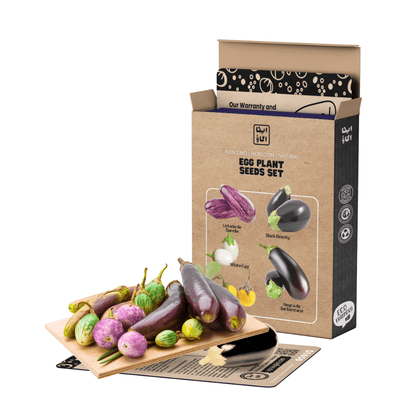 Heirloom Eggplant Seeds Set - Apnaugao