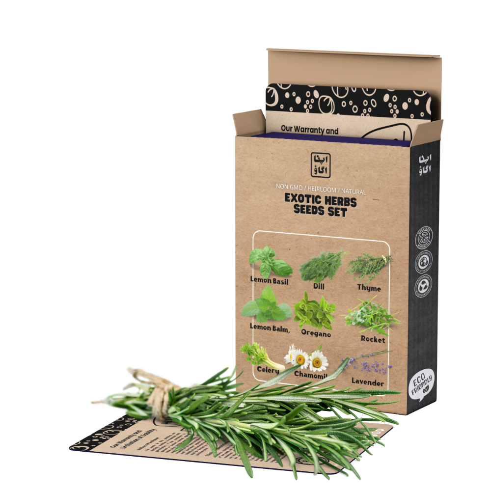 Herbs Seeds Set