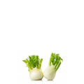 Fennel ( Sounf ) Herb Seeds - Apnaugao