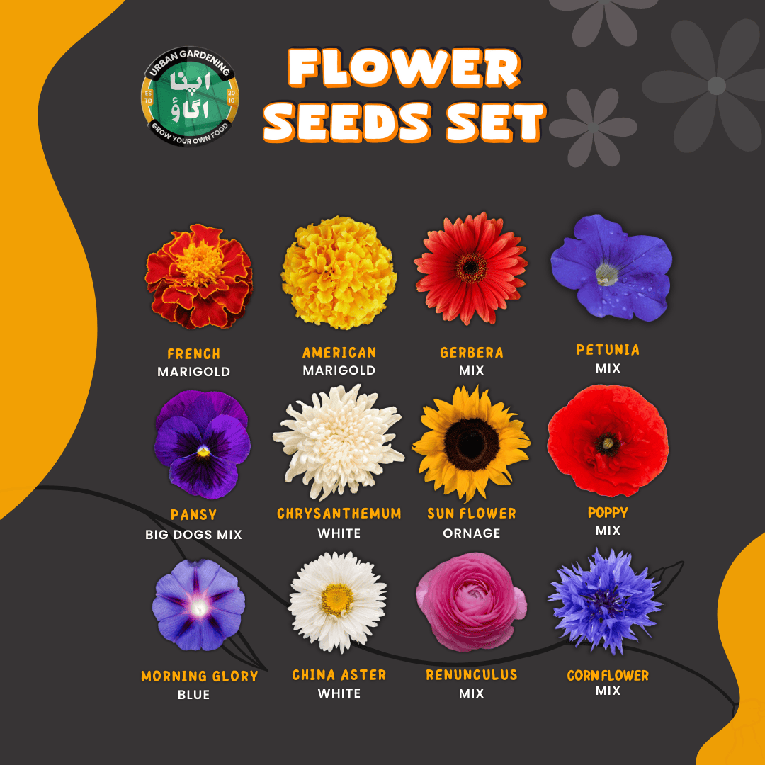 Bundle Box of 12 flower seeds packs