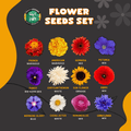 Best DIscounted flower seeds deals in Pakistan
