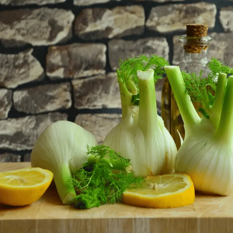 grow Culinary fennel herb at home