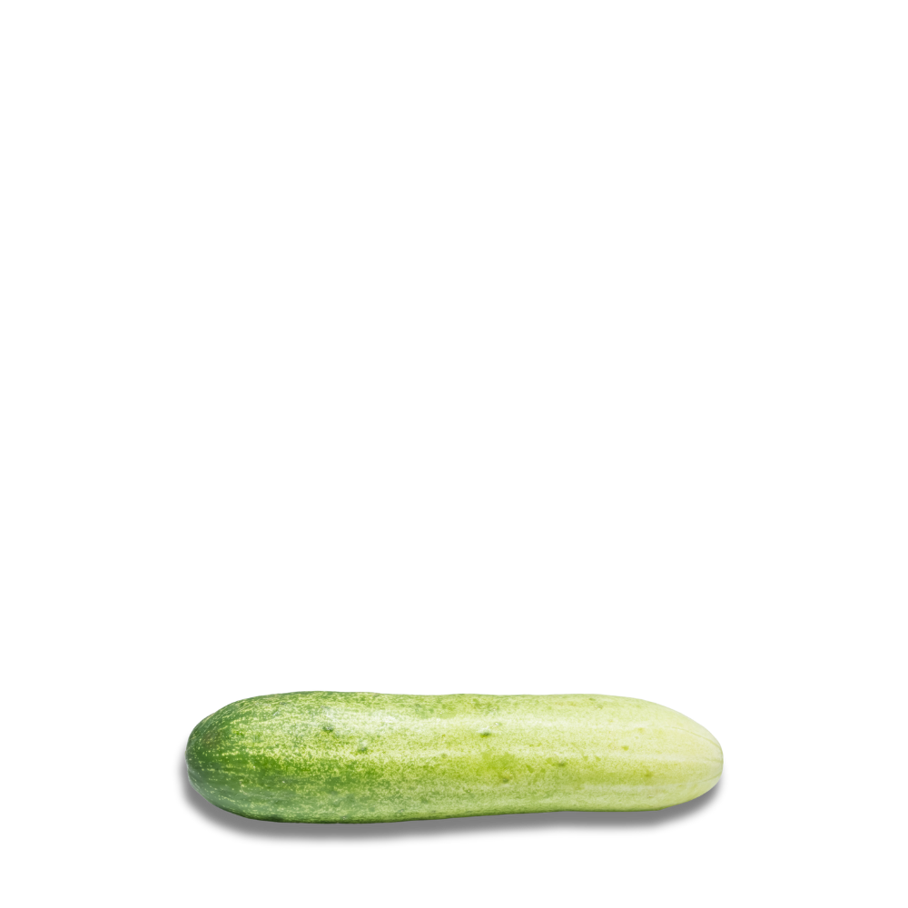 Heirloom Cucumber Seeds - Cornichon de Paris