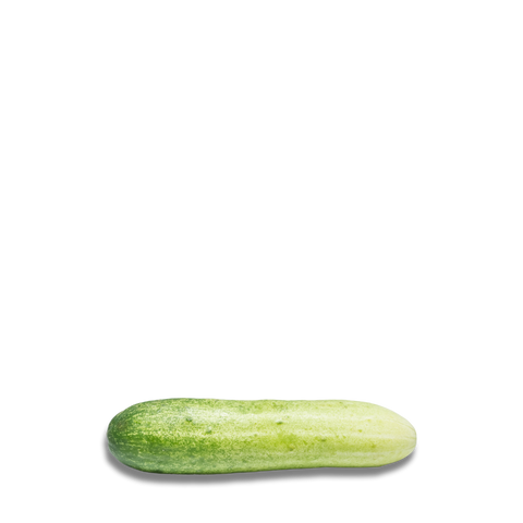 Heirloom Cucumber Seeds - Cornichon de Paris