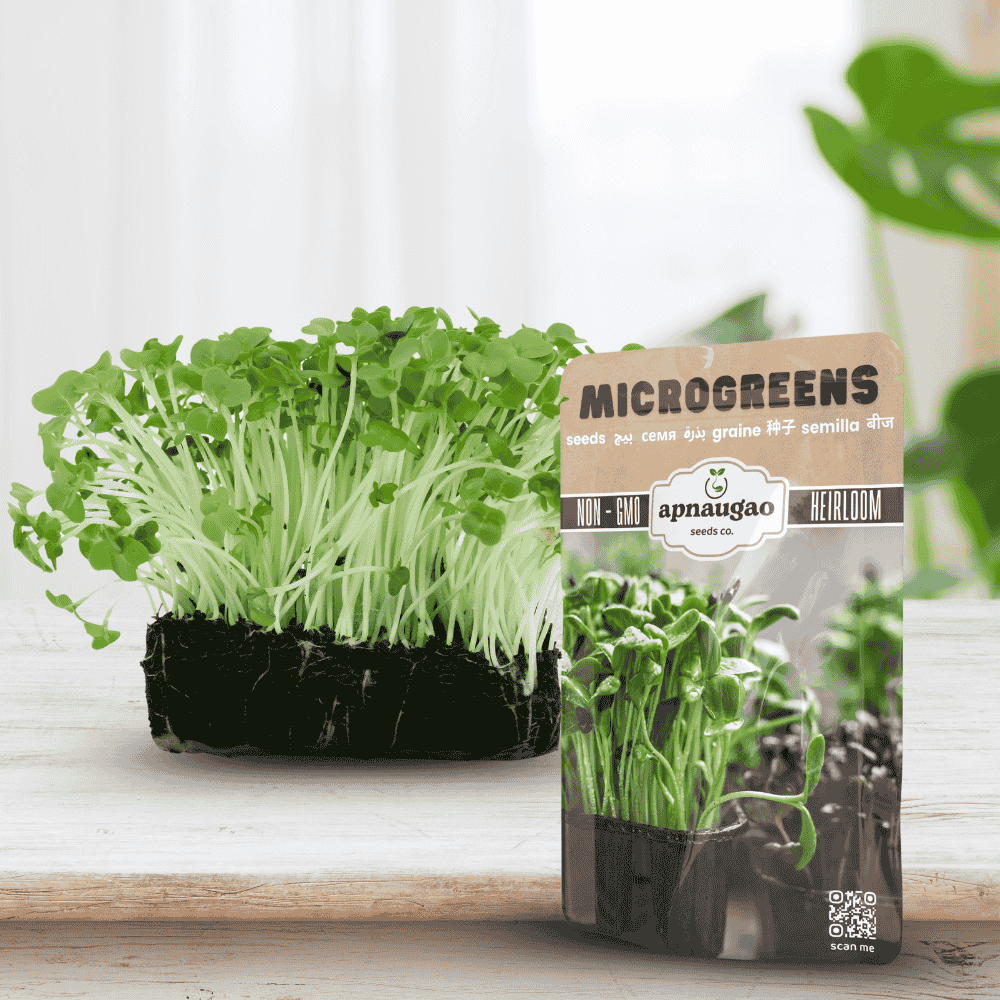 garden cress seeds in Pakistan