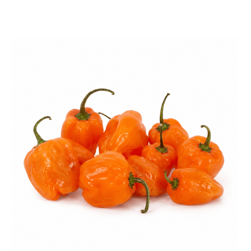 Orange peppers with green stems on a white background