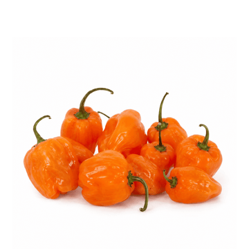 Orange peppers with green stems on a white background