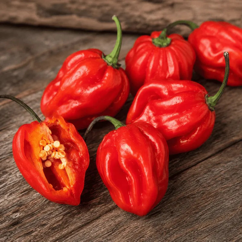 Habanero Red  seeds availabale in Pakistan