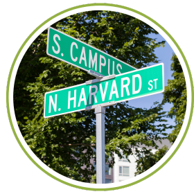 grow your own food recommended by Harvard university 