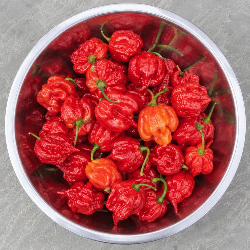 Bowl filled with red and orange chili peppers on a gray surface