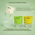 apnaugao self watering pots technology