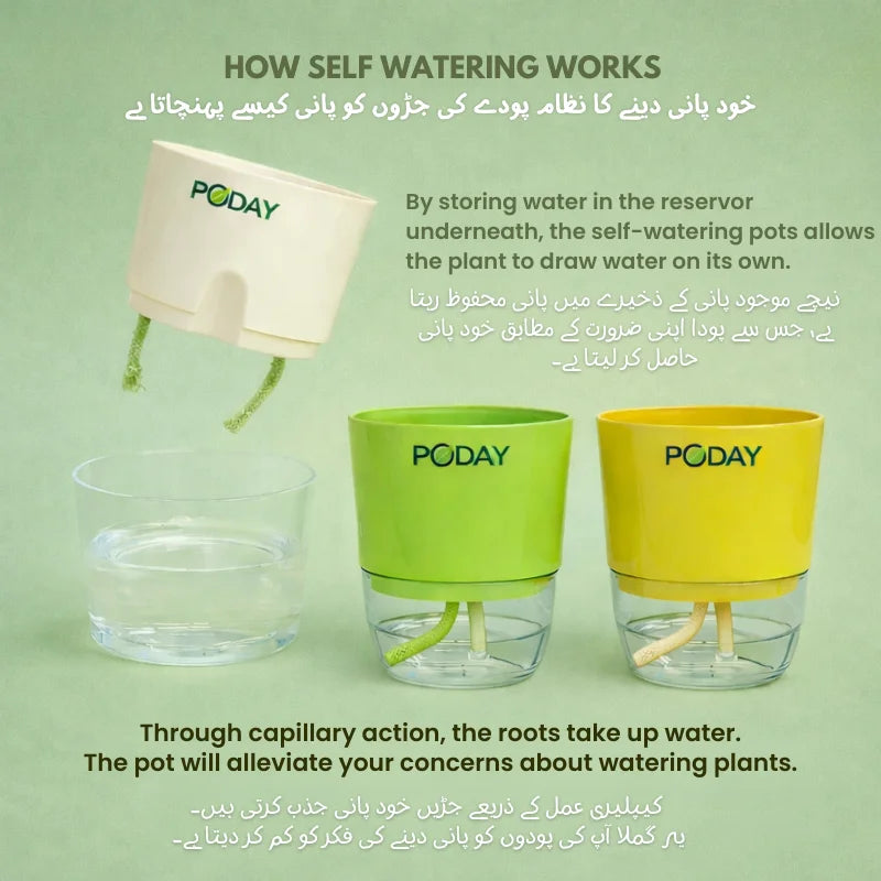 apnaugao self watering pots technology