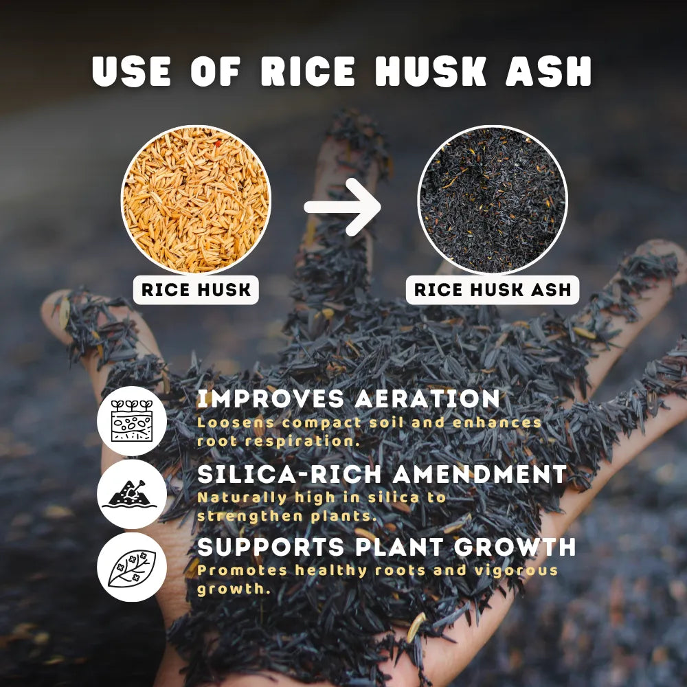 use rice husk ash in home gardening for better plants