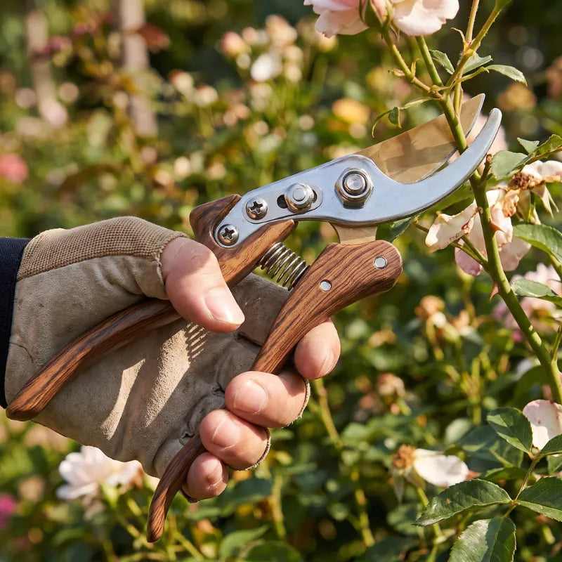 Japanese Garden Shear - Precision Pruning Cutter