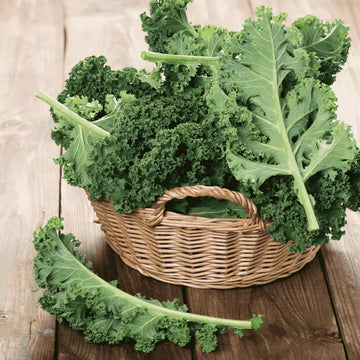 Fresh kale seeds for growing healthy green kale at home