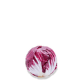 Chicory Radicchio Seeds – Palla Rossa Italian Variety