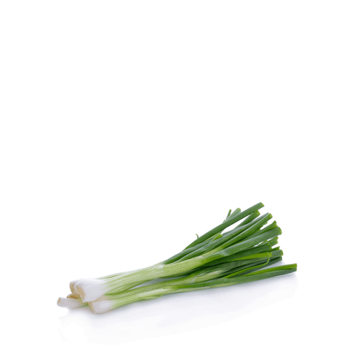 Leek Seeds – Long, Thick Stalks with Mild Onion Flavor
