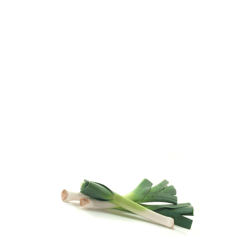 Heirloom Leek Verde Seeds – Mild, Sweet & Easy to Grow