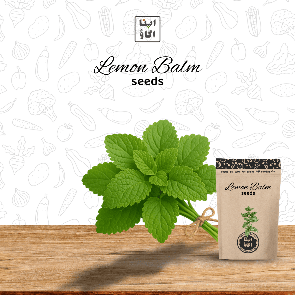 Organic Lemon Balm Seeds – Fragrant Citrus-Mint Herb