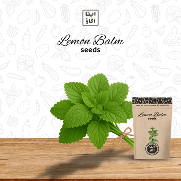 Organic Lemon Balm Seeds – Fragrant Citrus-Mint Herb