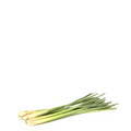 Lemon Grass Seeds - Herva Principe - Apnaugao