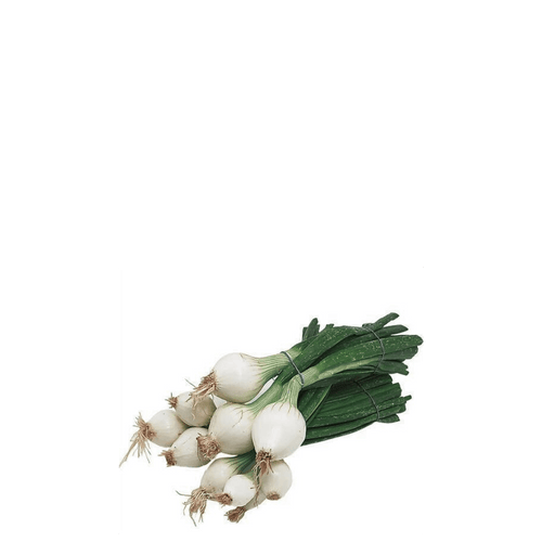 Green Spring Onion Seeds – La Reina | Mild, Crisp & Fast-Growing
