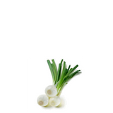 Green Onion Seeds Barletta