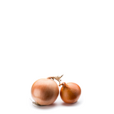 Yellow Onion Seeds Onion- Babosa-temprana