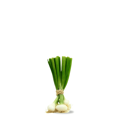 Heirloom Green Onion Seeds – Blanca de Lisbonne | Classic White Stem
