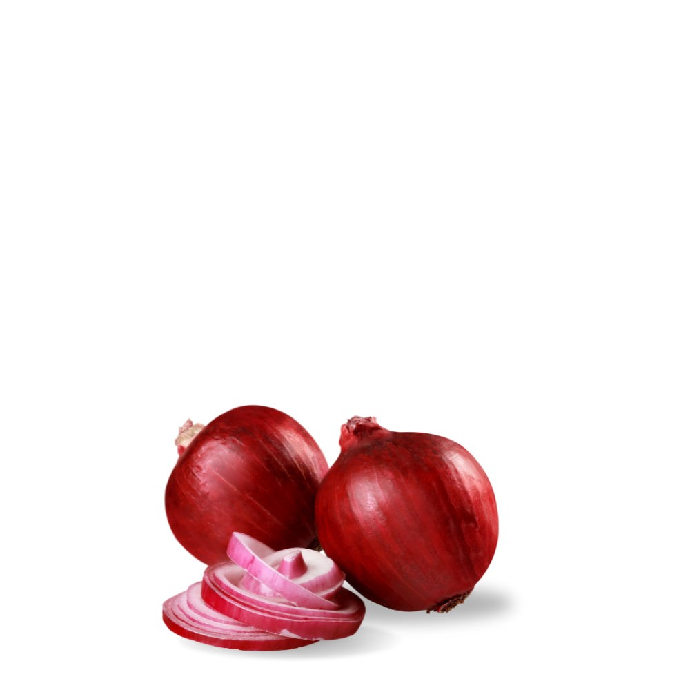 Red Onion Seeds Roja de zalla