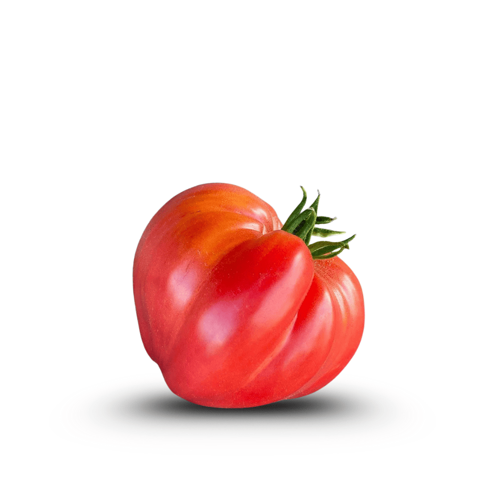 Red tomato with green stem on a white background