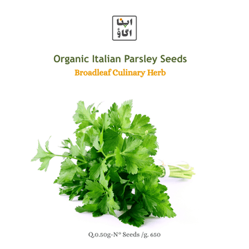 Organic Italian Parsley Seeds – Broadleaf Culinary Herb