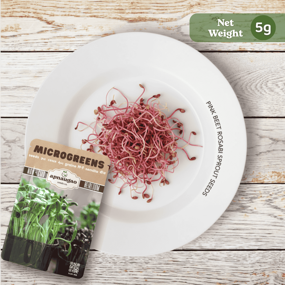 Pink beet rosabi sprouts seeds with a magnifying glass on a dark background, featuring the brand 'Urban Gardening'.