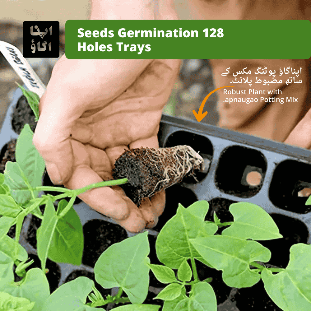 Garden Germination trays