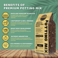 Best potting mix to get start