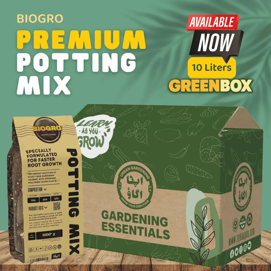 Biogro premium potting mix 10 Liters packaging with a greenbox
