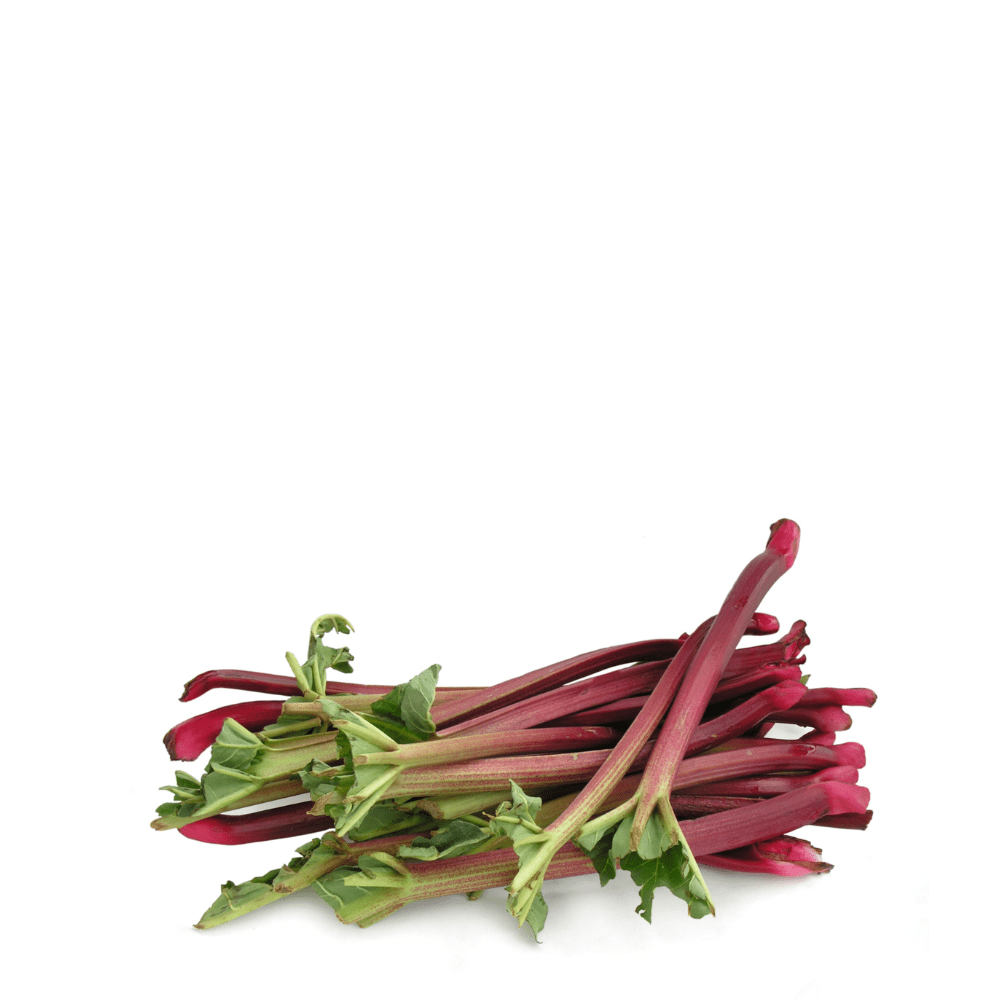 Easy-to-grow rhubarb seeds – Perfect for pies and desserts.