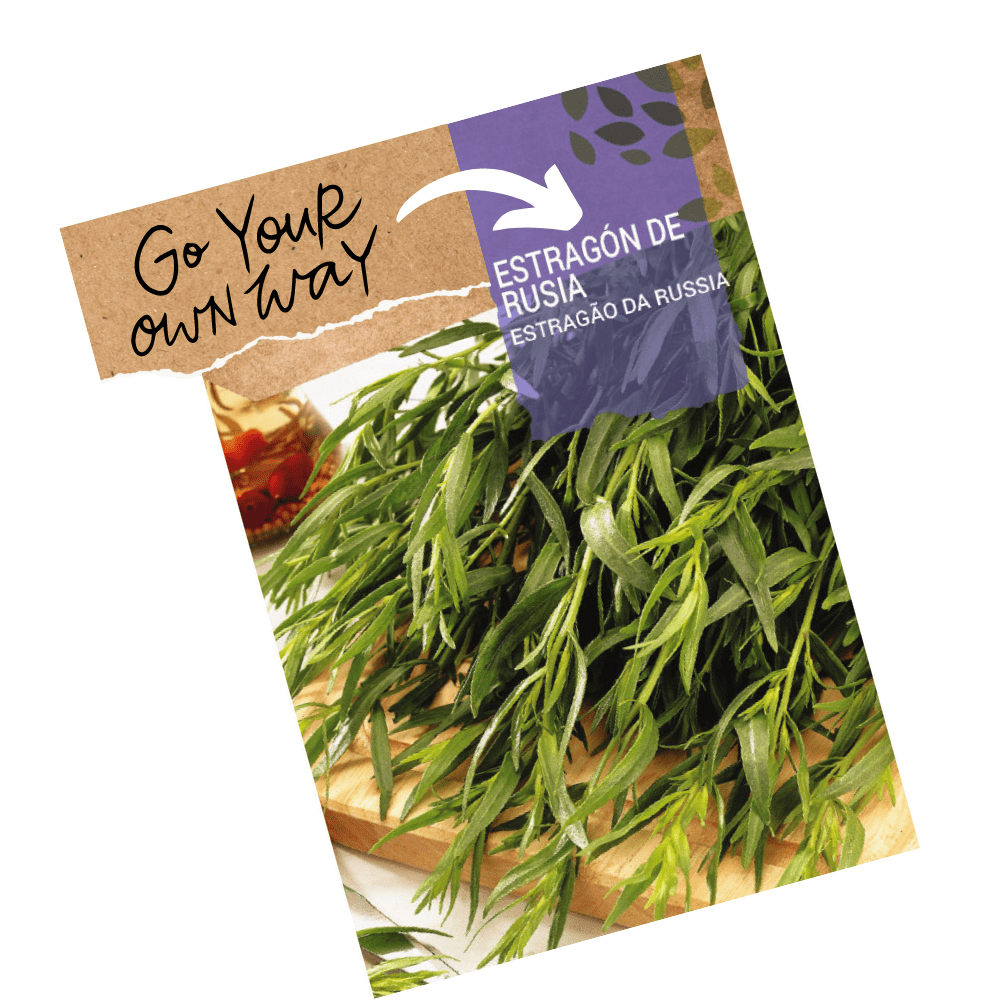 Russian Tarragon Herb Seeds - Apnaugao