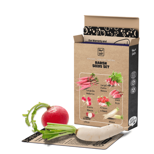 Radish Seed Set – 7 Heirloom Varieties