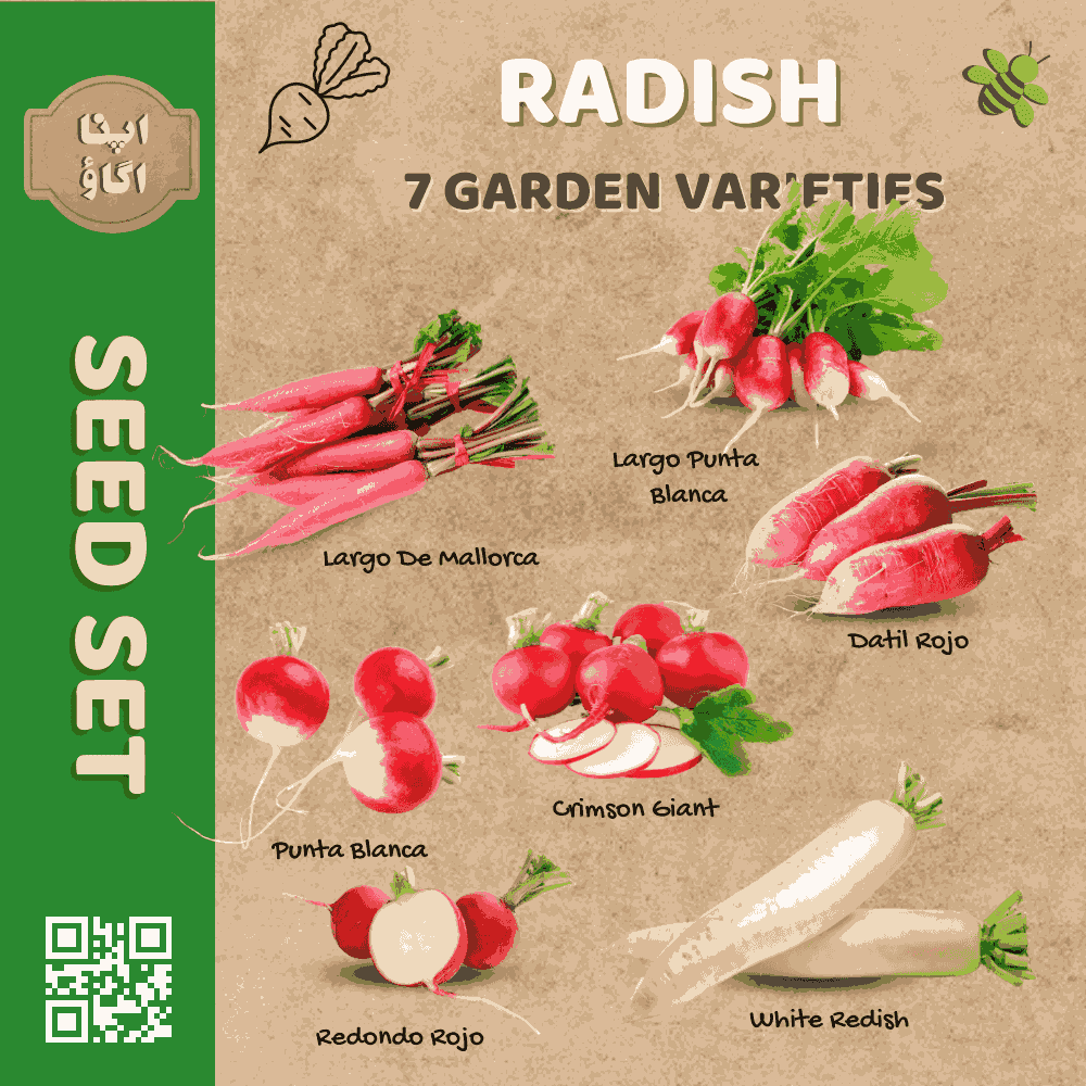 Radish Seeds Set
