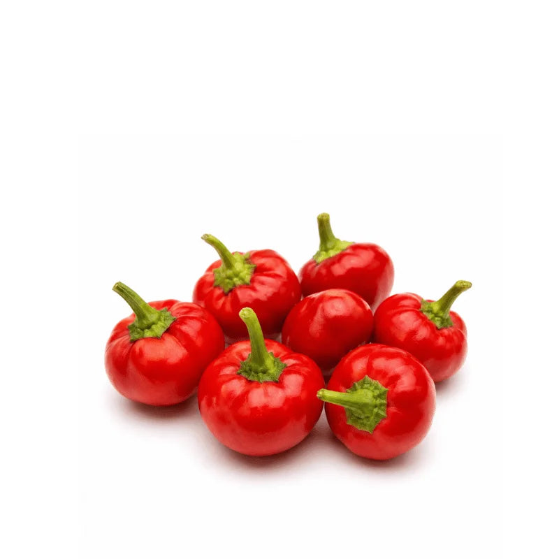 Buy Red Cherry Hot Chilli Pepper Seeds - apnaugao for home gardening