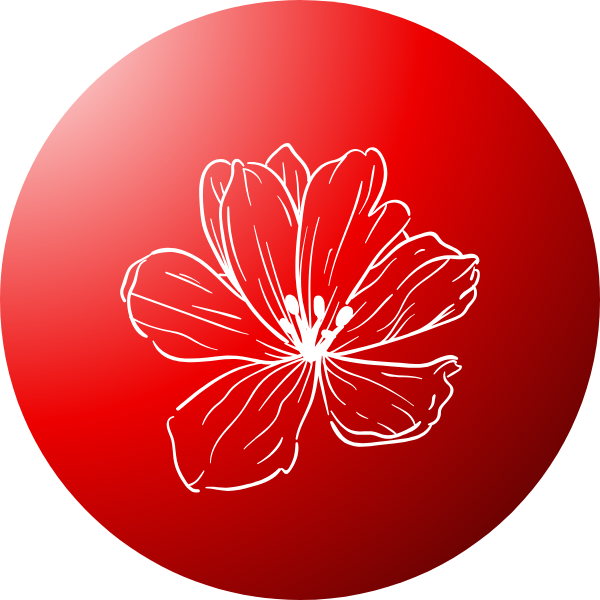 Grow beautiful red flowers – Perfect for gardens, pots, and landscapes.
