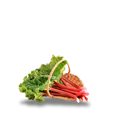 Easy-to-grow rhubarb seeds – Perfect for pies and desserts.
