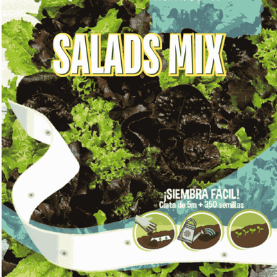 Lettuce Baby Leaf Seeds Tape - Apnaugao