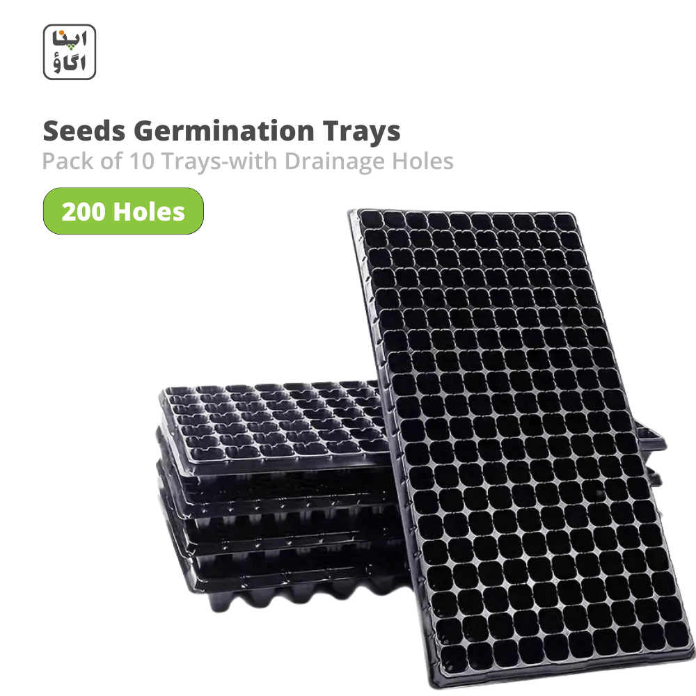 Best Seedling trays for home gardening in Pakistan