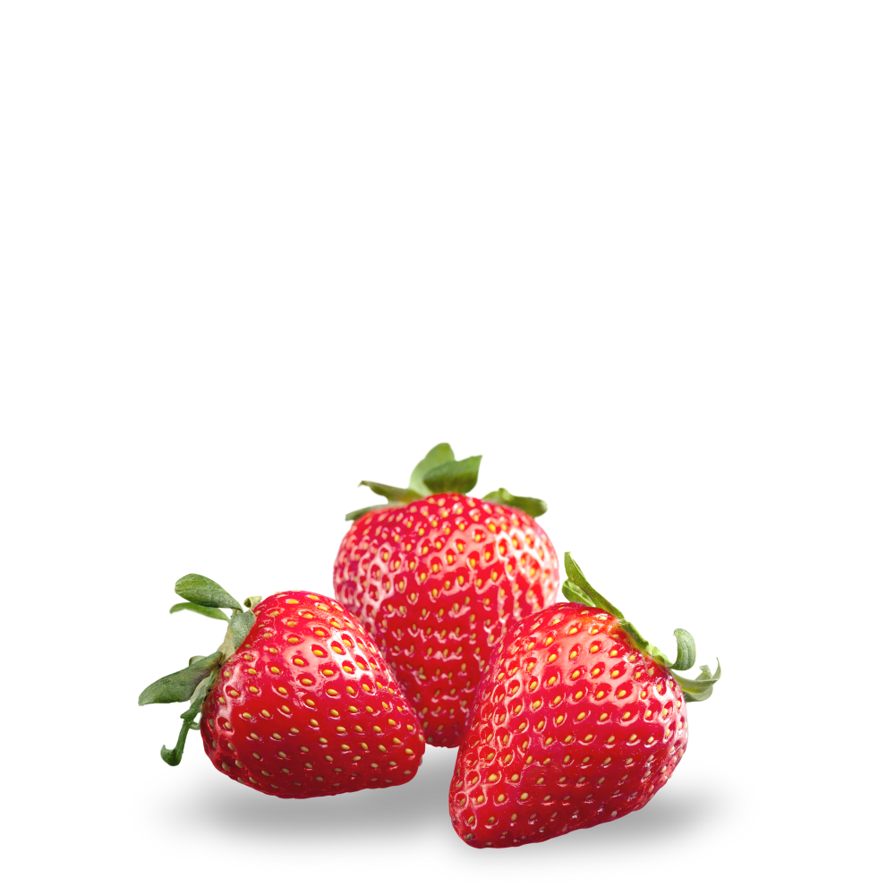 Strawberry Plant Fragaria Morango Seeds