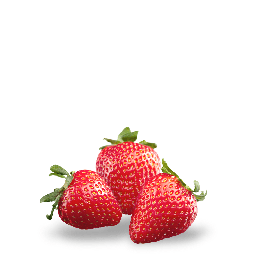 Morango Verde Strawberry Plant Fragaria Morango Seeds