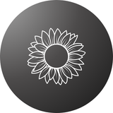 Premium sunflower seeds – Perfect for gardens, pots, and landscapes.