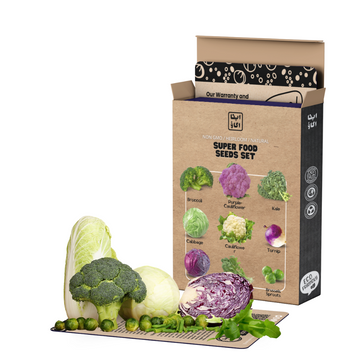 Super Food Vegetable Seeds Set