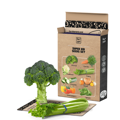 Super Kid Vegetable Seeds Set – 8 Nutritious Varieties